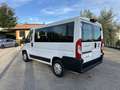 Fiat Ducato Ducato 290 Panorama 30 E6 2018 9 Posti Iva Esposta Bianco - thumbnail 7