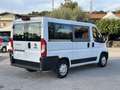 Fiat Ducato Ducato 290 Panorama 30 E6 2018 9 Posti Iva Esposta Bianco - thumbnail 5