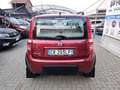 Fiat Panda Panda 1.2 4x4 Climbing Rojo - thumbnail 15