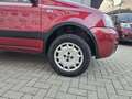 Fiat Panda Panda 1.2 4x4 Climbing Rojo - thumbnail 16