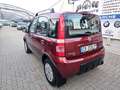 Fiat Panda Panda 1.2 4x4 Climbing Rojo - thumbnail 5