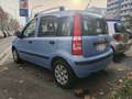 Fiat Panda !!! OCCASIONE !!! Oro - thumbnail 5