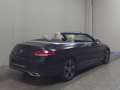 Mercedes-Benz C 220 d Cabrio Leder Navi LED Airscarf RFK Negru - thumbnail 4