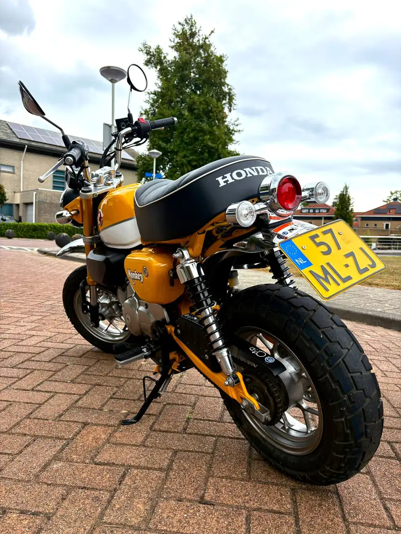 Honda Monkey 125 Meest iconische Minibike van Honda Amarillo - 2