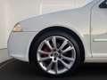 Skoda Octavia 2.0 TFSI RS AUTOMATIK DSG XENON PDC 2.HAND PDC Blanc - thumbnail 19