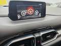 Mazda CX-5 2.2D Evolution Navi 2WD 110Kw Rojo - thumbnail 26