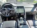 Jaguar E-Pace 1.5 I3 160 CV  MHEV Auto R-Dynamic SE Blanco - thumbnail 7