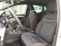 SEAT Ibiza IBIZA FR 1.0 TSI FULL-LINK SITZH. VOLL-LED Weiß - thumbnail 10