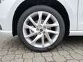 SEAT Ibiza IBIZA FR 1.0 TSI FULL-LINK SITZH. VOLL-LED Weiß - thumbnail 4