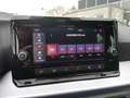 SEAT Ibiza IBIZA FR 1.0 TSI FULL-LINK SITZH. VOLL-LED Weiß - thumbnail 13
