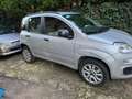 Fiat Panda Panda 1.2 Active natural power Argent - thumbnail 5