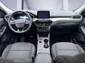 Ford Kuga 2.5 PHEV TITANIUM *AHK*Techno-Pk*Fahrer-Pk* Gris - thumbnail 10