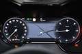 Alfa Romeo Tonale 1.6 diesel 130 CV TCT6 Ti Carplay Navi Grau - thumbnail 11