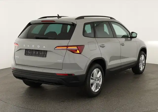 Skoda Karoq view 2