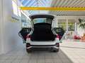 Audi Q3 Sportback 40 TFSI quattro S Line ACC LED Blanc - thumbnail 15