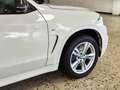 BMW X5 M50d (PANO/DAB/SUR-VIEW/LOGIC7/SOFT-CLO/ PPF Bianco - thumbnail 4