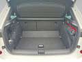 Skoda Kamiq 1.5 Monte Carlo 1,5 TSI 110 kW 7-Gang-DSG Weiß - thumbnail 15