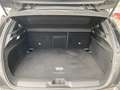 Opel Astra 1,2 Turbo Business Elegance Aut. | WinterPaket Schwarz - thumbnail 21