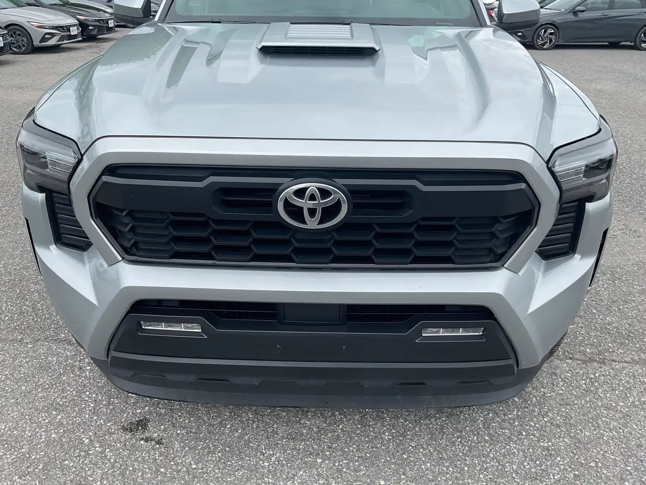 Toyota Tacoma fotografie Toyota Tacoma