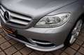 Mercedes-Benz CL 500 BE*AMG Styling~H&K~Multi Mas~SoftC~EnterP Szary - thumbnail 9