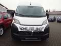 Fiat Ducato L3H2 Paket Techno/Allwetterreifen netto 22.680,00 Weiß - thumbnail 21