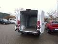 Fiat Ducato L3H2 Paket Techno/Allwetterreifen netto 22.680,00 Weiß - thumbnail 6