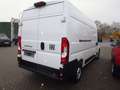 Fiat Ducato L3H2 Paket Techno/Allwetterreifen netto 22.680,00 Weiß - thumbnail 4