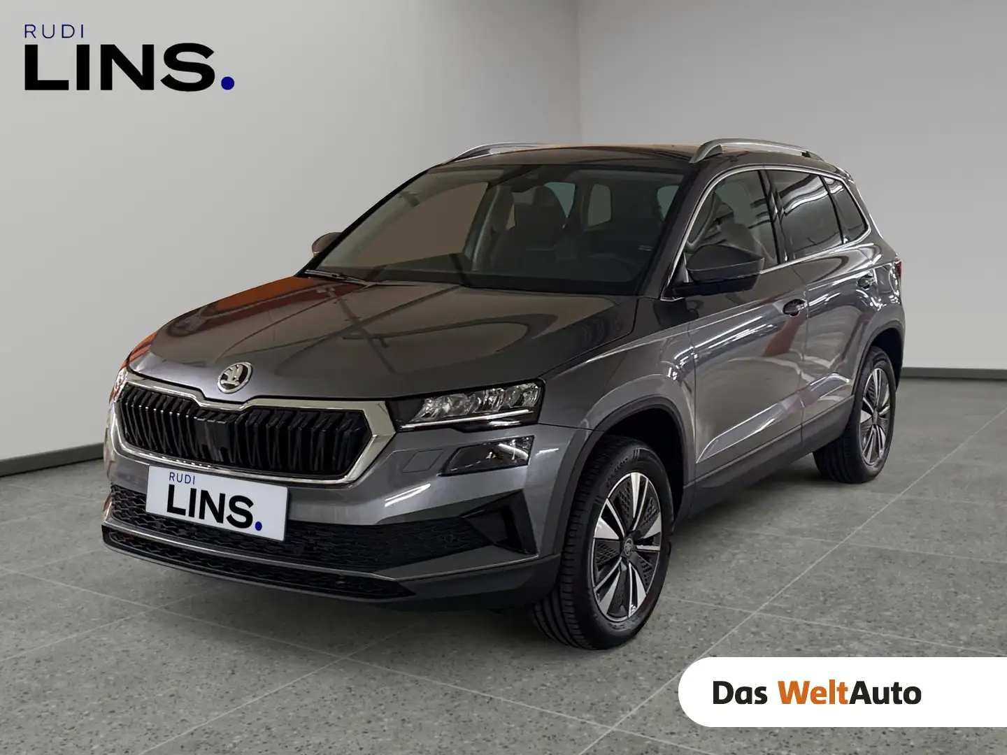 Skoda Karoq 4x4 Selection TDI DSG Gris - 1