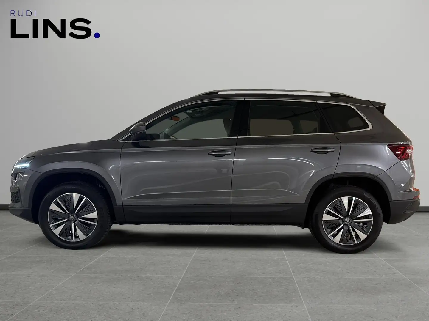 Skoda Karoq 4x4 Selection TDI DSG Gris - 2