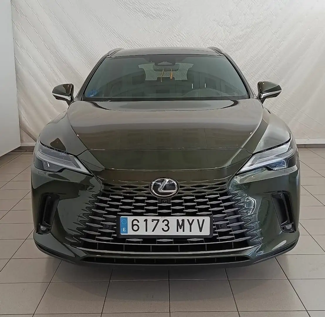 Lexus RX 450h Executive Groen - 2
