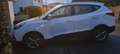 Hyundai iX35 ix35 1.6 2WD 5 Star Edition Weiß - thumbnail 1