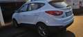 Hyundai iX35 ix35 1.6 2WD 5 Star Edition Weiß - thumbnail 3