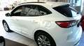 Ford Kuga Plug-In Hybrid ST-Line X 2,5l PHEV 225PS FF8D Weiß - thumbnail 2