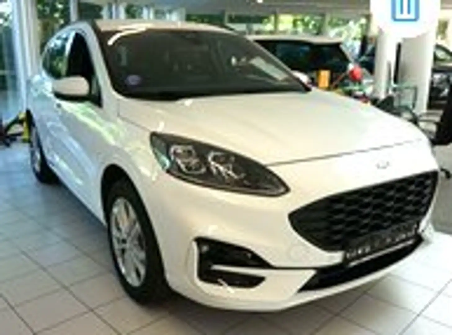 Ford Kuga Plug-In Hybrid ST-Line X 2,5l PHEV 225PS FF8D Weiß - 1