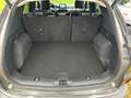 Ford Kuga Plug-In Hybrid Titanium X 225 PS  Winter-Paket/ LE Grau - thumbnail 12