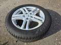 Volkswagen Golf Variant Golf Variant Rabbit 1,6 TDI DPF Rabbit - thumbnail 7