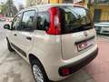 Fiat Panda 1.2 Easy 5 posti Beige - thumbnail 5
