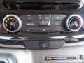 Ford Tourneo Custom 310 2.0 TDCi 170CV aut. PC Titanium Blu/Azzurro - thumbnail 23