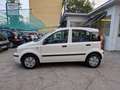 Fiat Panda 1.2 Emotion  *AUTOCARRO * Bianco - thumbnail 11