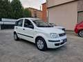 Fiat Panda 1.2 Emotion  *AUTOCARRO * Bianco - thumbnail 12