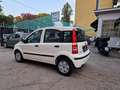 Fiat Panda 1.2 Emotion  *AUTOCARRO * Bianco - thumbnail 3