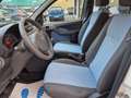 Fiat Panda 1.2 Emotion  *AUTOCARRO * Bianco - thumbnail 10