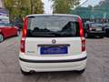 Fiat Panda 1.2 Emotion  *AUTOCARRO * Bianco - thumbnail 4