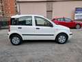 Fiat Panda 1.2 Emotion  *AUTOCARRO * Bianco - thumbnail 6