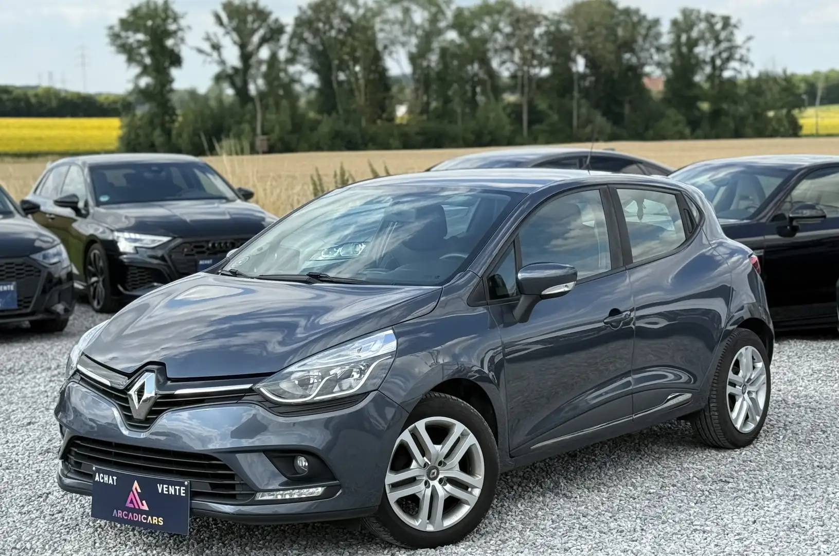Renault Clio 0.9 TCe - Carnet complet Renault - 1ere main Gris - 1