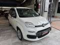 Fiat New Panda Panda 1.0 FireFly S&S Hybrid Bianco - thumbnail 3