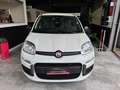 Fiat New Panda Panda 1.0 FireFly S&S Hybrid Bianco - thumbnail 2