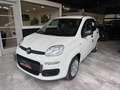 Fiat New Panda Panda 1.0 FireFly S&S Hybrid Bianco - thumbnail 1