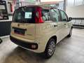 Fiat New Panda Panda 1.0 FireFly S&S Hybrid Bianco - thumbnail 6