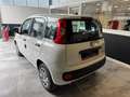 Fiat New Panda Panda 1.0 FireFly S&S Hybrid Bianco - thumbnail 4